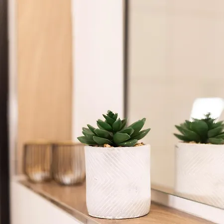 Naturpanorama Am Bodensee - Zuhause Mit Seeblick! Apartment Tettnang